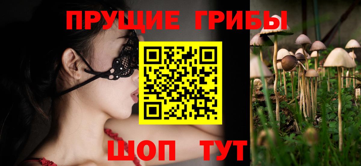 Саров  Псилоцибиновые грибы GOLDEN TEACHER  Вход с VPN 